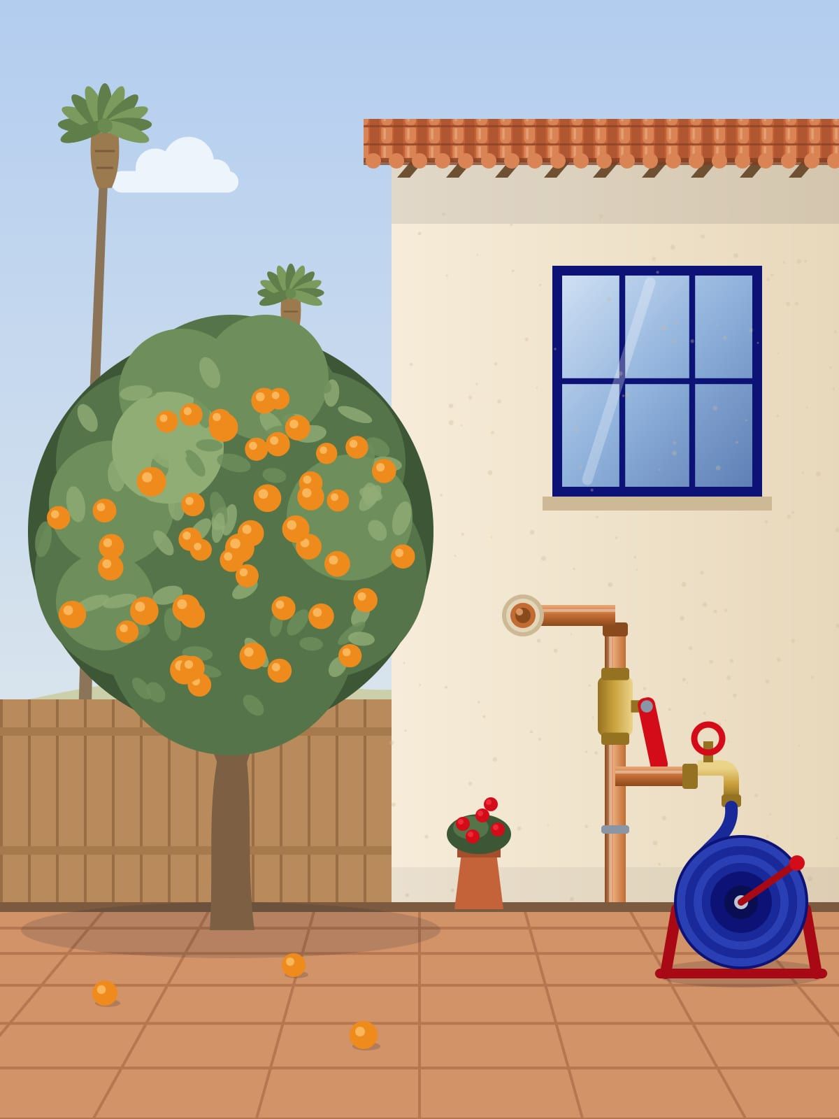 Illustration of an orange tree full of fruit in a back yard by a stucco wall with copper pipe, a red valve and a hose reel